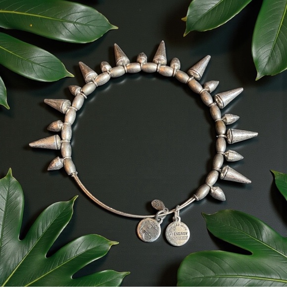 Alex and Ani Jewelry - 🩶ALEX AND ANI🩶Silver Stud Bangle Bracelet/GC